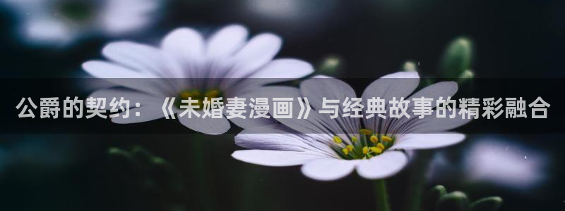 漫画之家app官网入口：公爵的契约：《未婚妻漫画》与经典故事的精彩融合