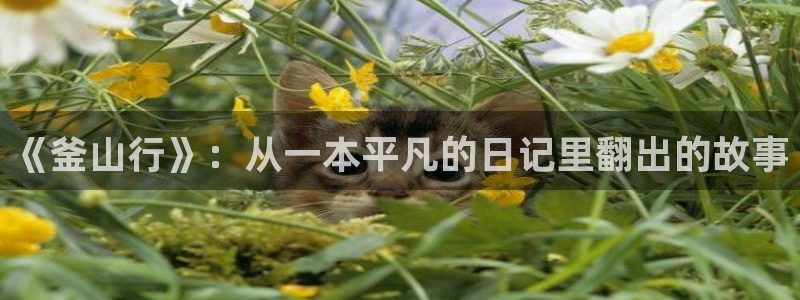 漫画之家韩漫：《釜山行》：从一本平凡的日记里翻出的故事