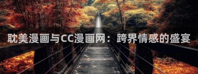 漫画之家下载：耽美漫画与CC漫画网：跨界情感的盛宴