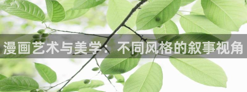 漫画之家社区：漫画艺术与美学：不同风格的叙事视角
