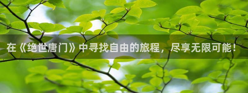 堀与宫村漫画之家：在《绝世唐门》中寻找自由的旅程，尽享无限可能！