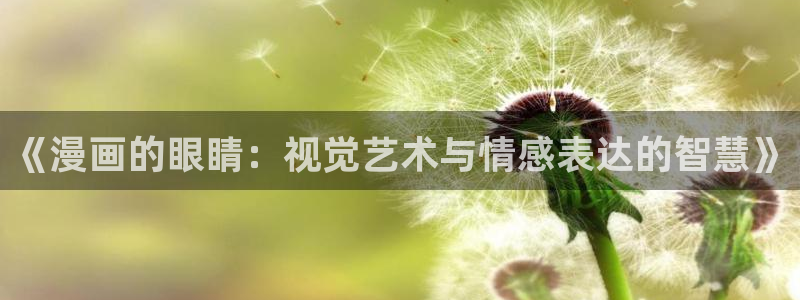 终末的女武神漫画之家：《漫画的眼睛：视觉艺术与情感表达的智慧》