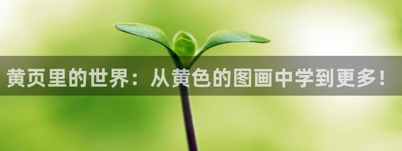 日本漫画之家：黄页里的世界：从黄色的图画中学到更多！