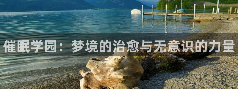 大妈漫画之家：催眠学园：梦境的治愈与无意识的力量