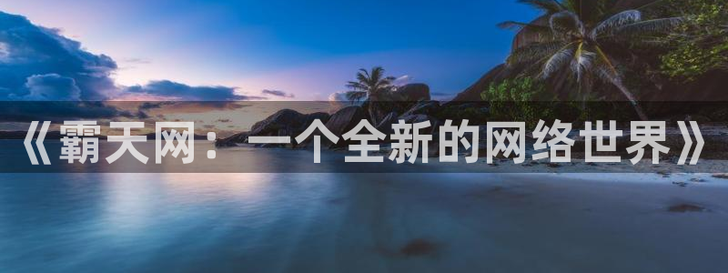 漫画之家下载：《霸天网：一个全新的网络世界》