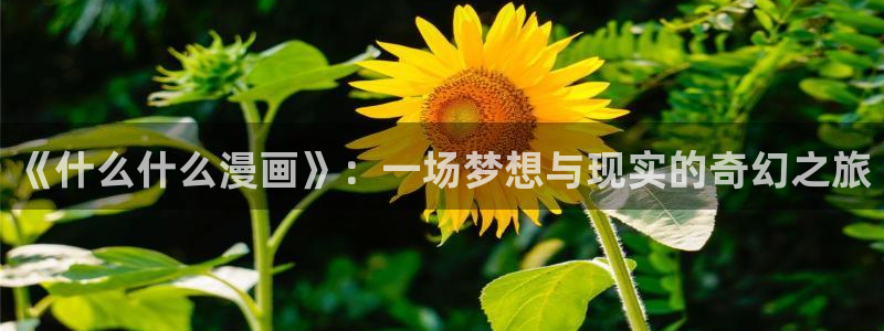漫画之家_漫画之家韩漫：《什么什么漫画》：一场梦想与现实的奇幻之旅