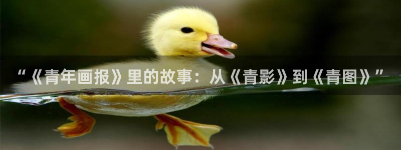 漫画之家社区：“《青年画报》里的故事：从《青影》到《青图》”