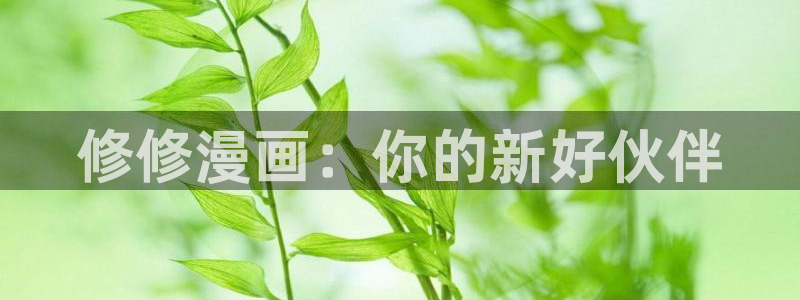 日本漫画之家：修修漫画：你的新好伙伴
