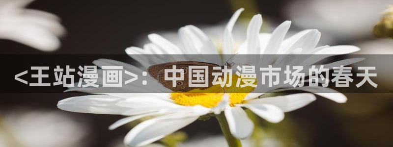漫画之家入口：<王站漫画>：中国动漫市场的春天