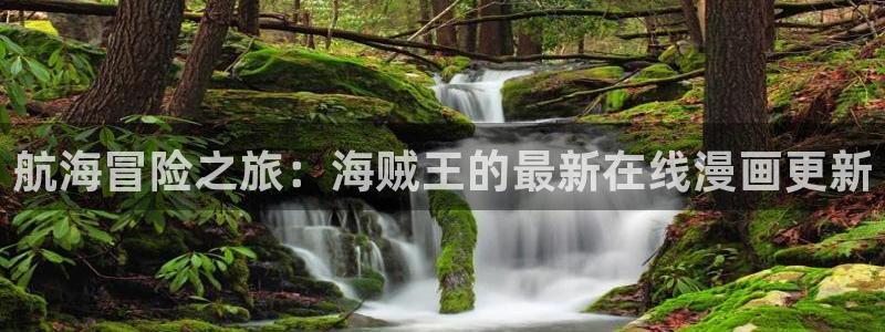 漫画之家2：航海冒险之旅：海贼王的最新在线漫画更新